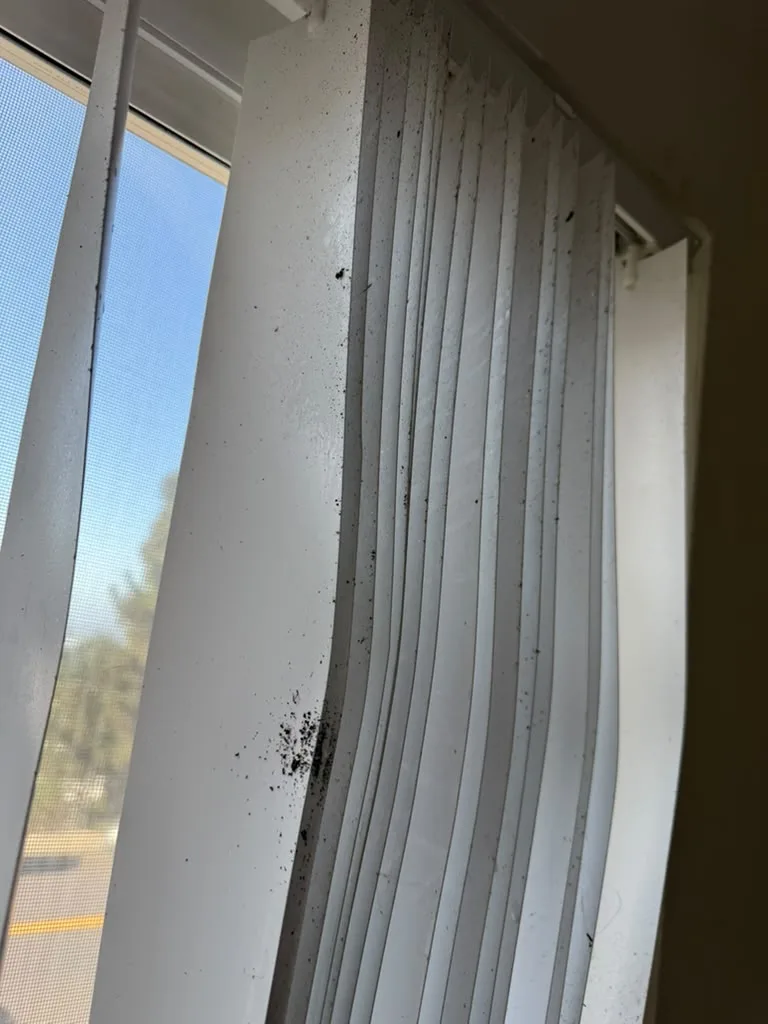 Window blinds before cleaning